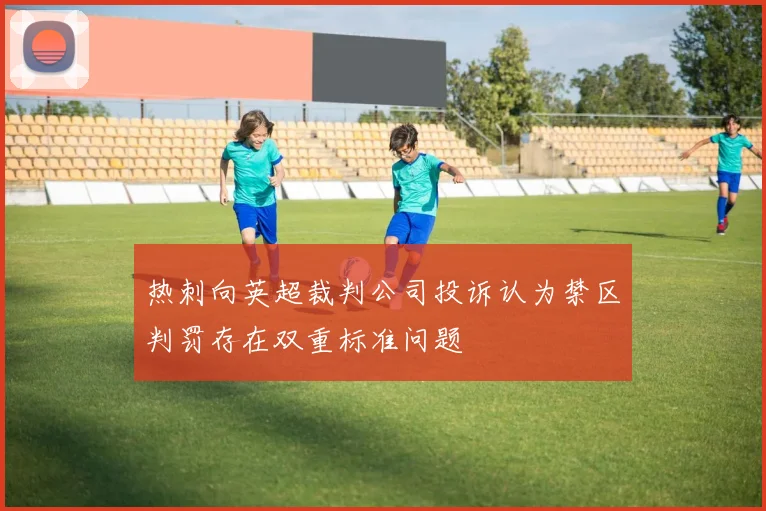 热刺向英超裁判公司投诉认为禁区判罚存在双重标准问题