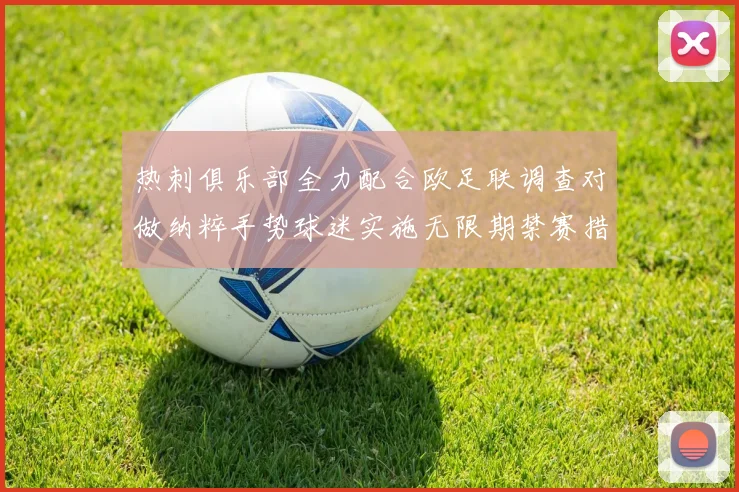 热刺俱乐部全力配合欧足联调查对做纳粹手势球迷实施无限期禁赛措施