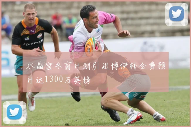 水晶宫冬窗计划引进博伊转会费预计达1300万英镑